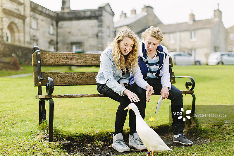 在长椅上观看鸭子的青少年兄妹图片素材