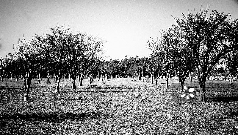 我们都很美！图片素材