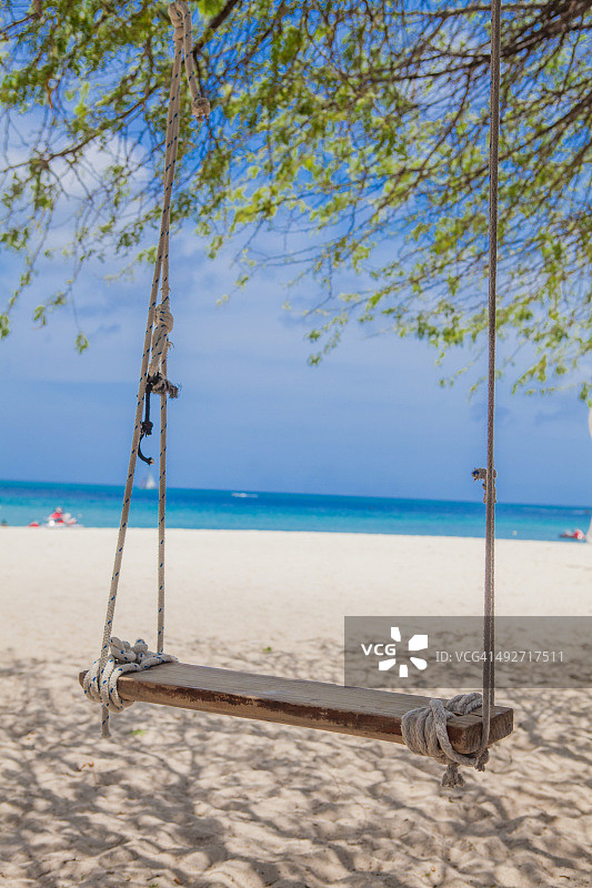 阿鲁巴棕榈滩上的树秋千图片素材
