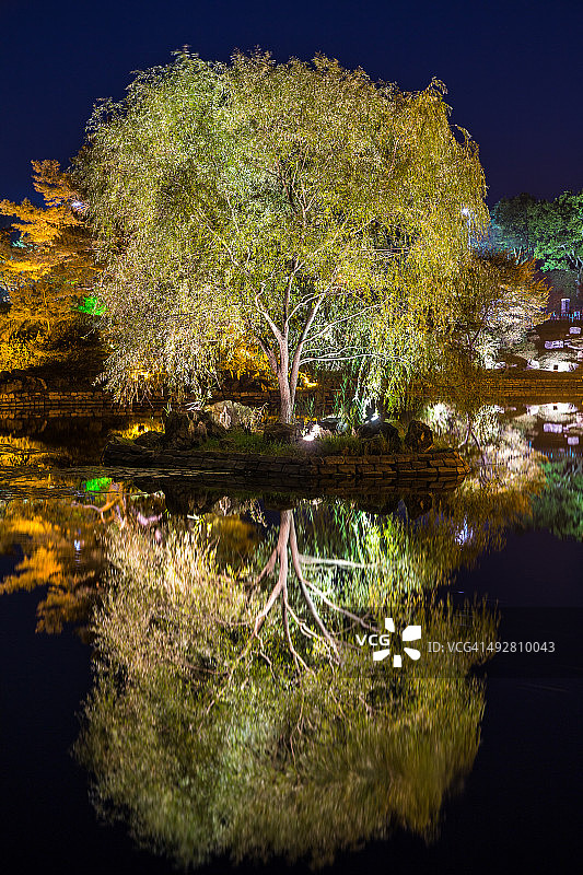 雁鸭池塘倒影图片素材