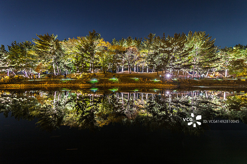 雁鸭池池塘倒影图片素材