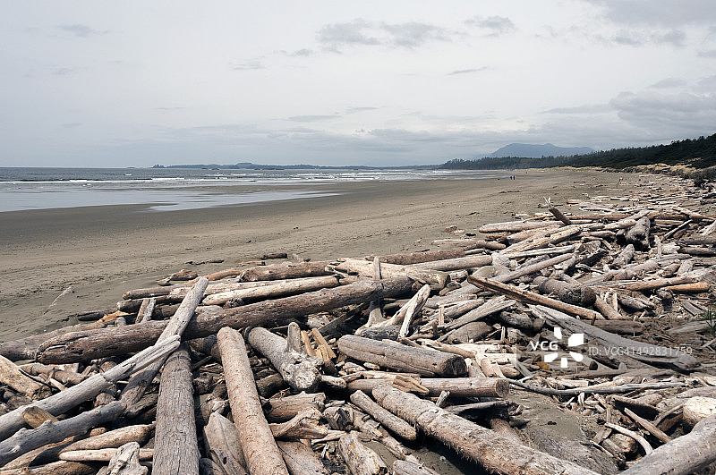 太平洋沿岸国家公园，长滩图片素材