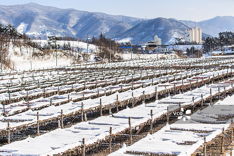 晒鱼架与城镇背景图片素材