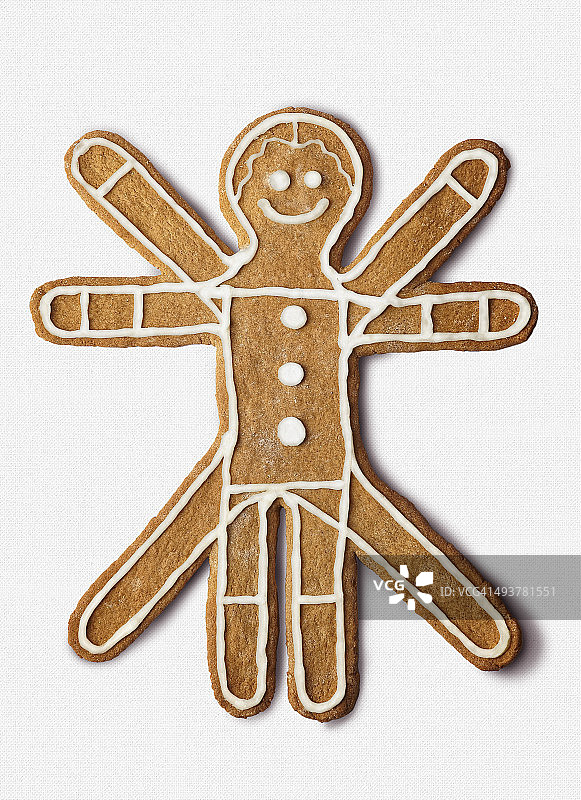 维特鲁威人的饼干图片素材