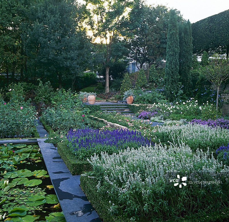 花园与背景房屋图片素材