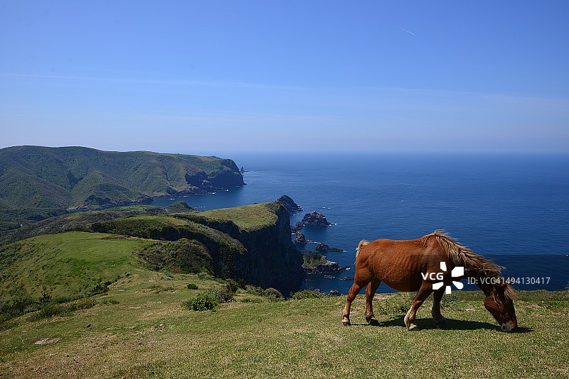 隐岐群岛图片素材