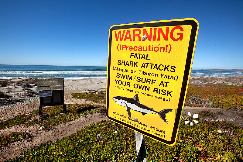 鲨鱼警告标志图片素材