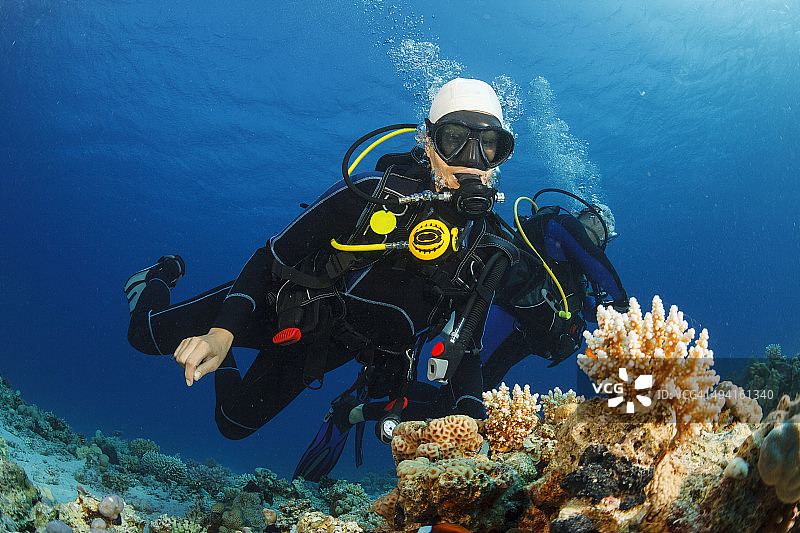 水下：水肺潜水员探索和欣赏珊瑚礁海洋生物图片素材