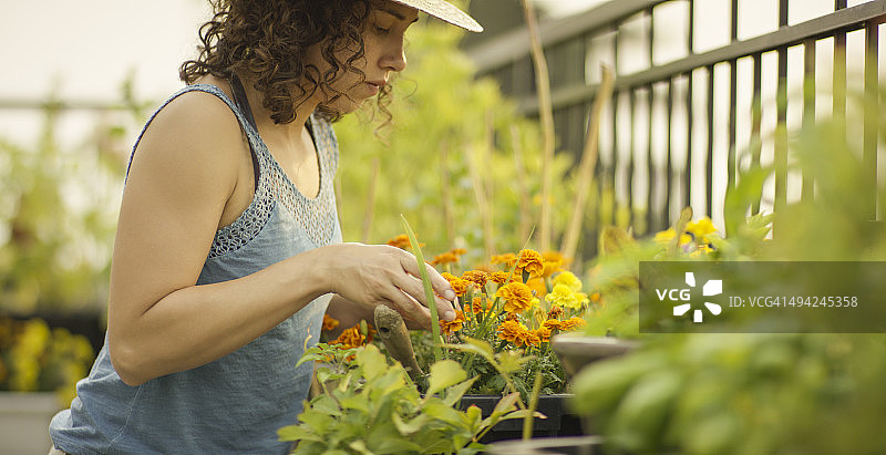 阳光下在户外园艺的年轻女子图片素材
