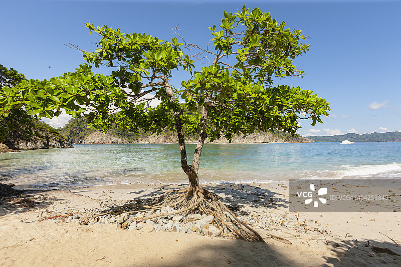 坦博尔出发的 Tortuga岛乘船之旅图片素材