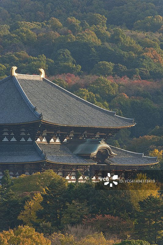 日本奈良东大寺大佛殿图片素材