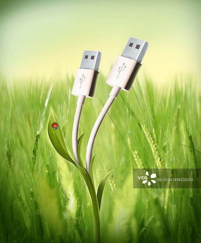 田野中生长的USB电缆：绿色科技插画图片素材