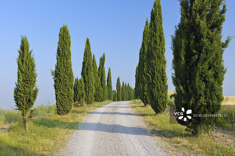 意大利托斯卡纳锡耶纳省 Crete Senesi的道路图片素材