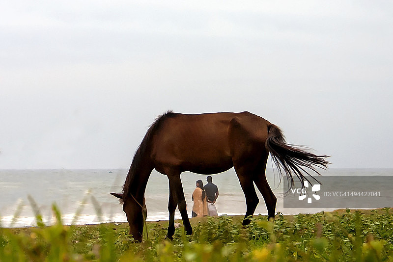 情侣享受海滩图片素材