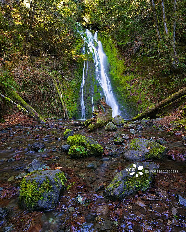 麦迪逊瀑布，小溪中的苔藓和石头图片素材