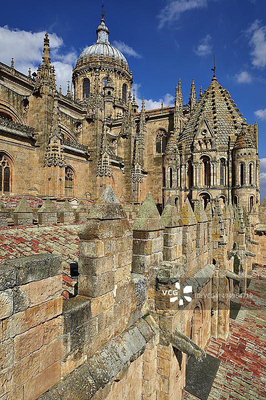 西班牙萨拉曼卡新大教堂图片素材