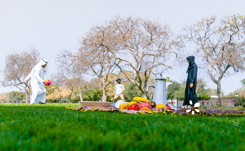 绿草地上的野餐场景图片素材