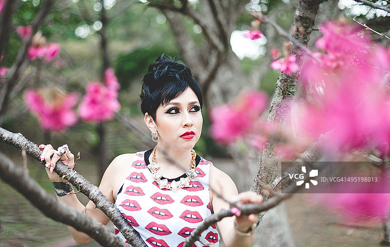 樱花中的夏天图片素材