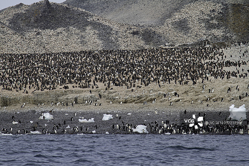 南极洲的波利特岛图片素材