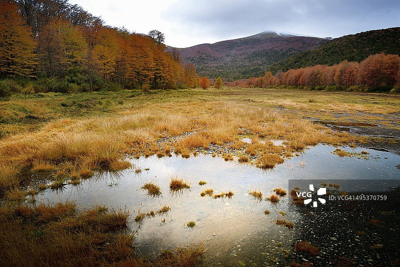 秋季景色：普耶韦国家公园图片素材