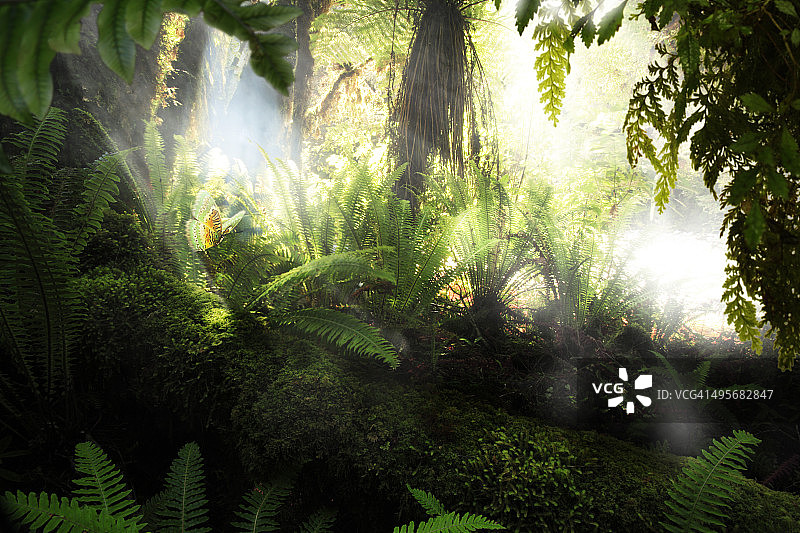 林中蝴蝶图片素材