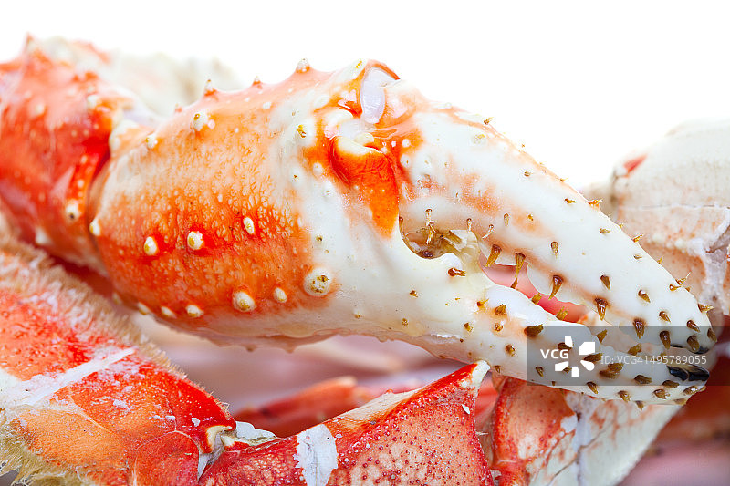 帝王蟹蟹腿图片素材