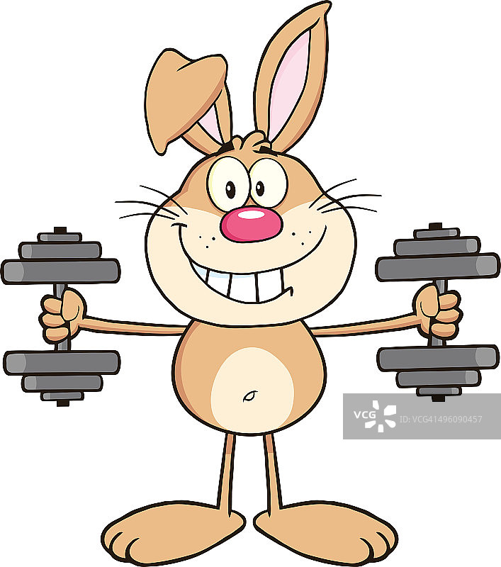 棕色兔子用哑铃训练图片素材