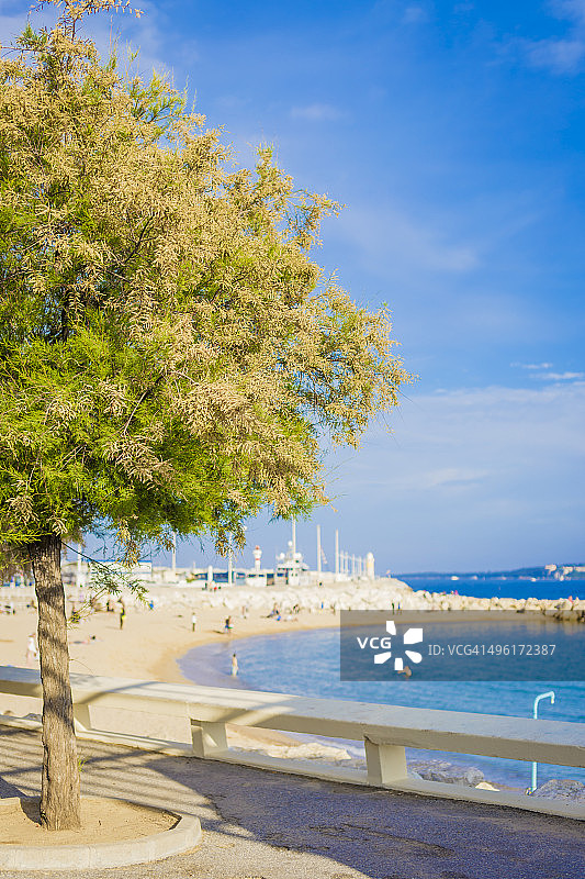 戛纳老港阳光海滩图片素材