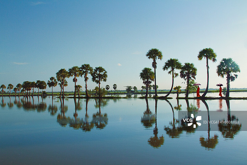 Soi bong图片素材