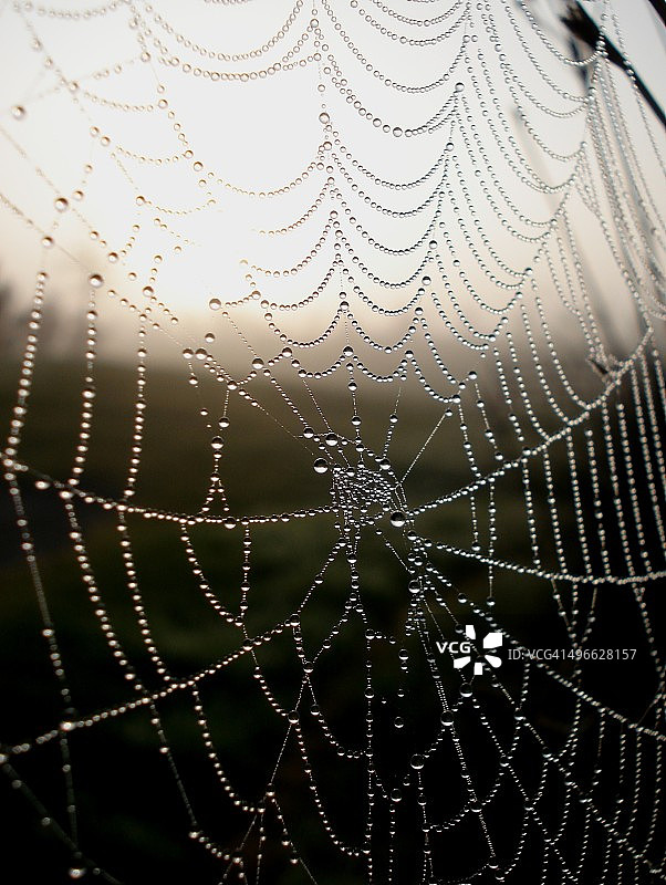 珠宝网图片素材