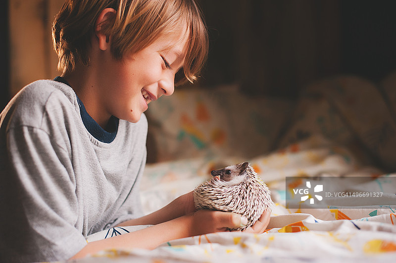 和宠物刺猬在一起的男孩图片素材