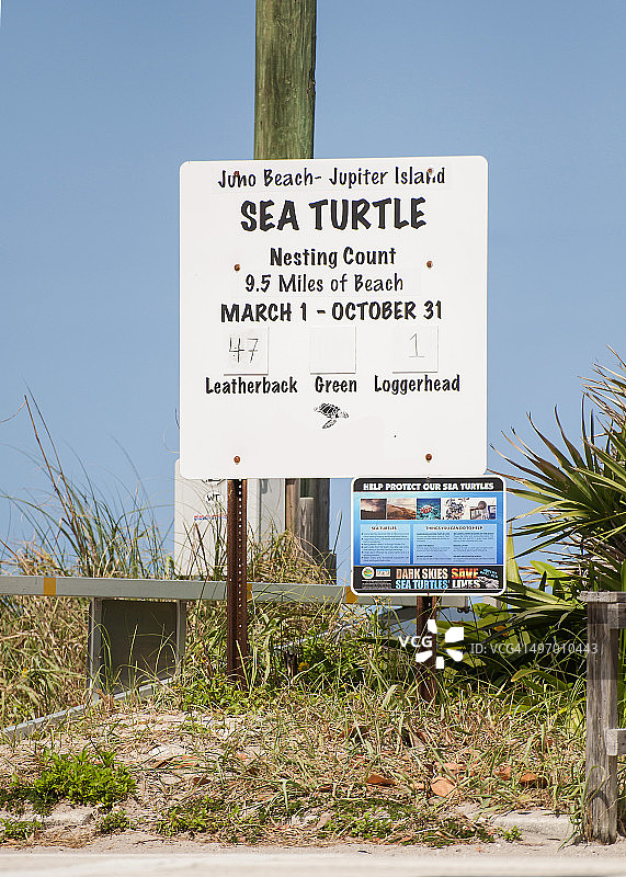 海龟筑巢计数标志图片素材