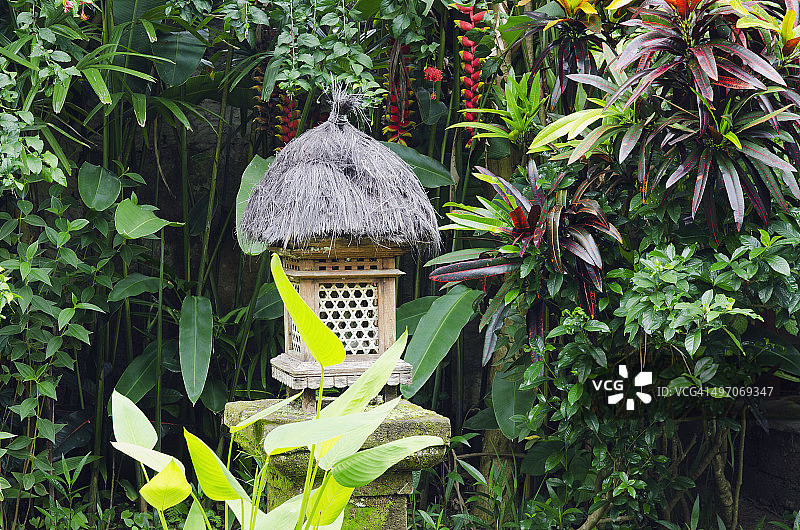 热带花园中的巴厘岛灯笼图片素材