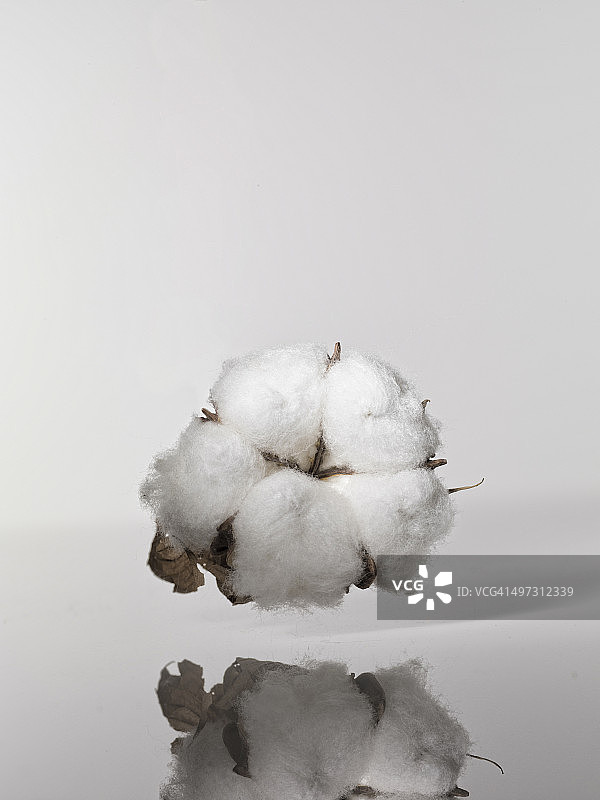 棉花和纱线图片素材