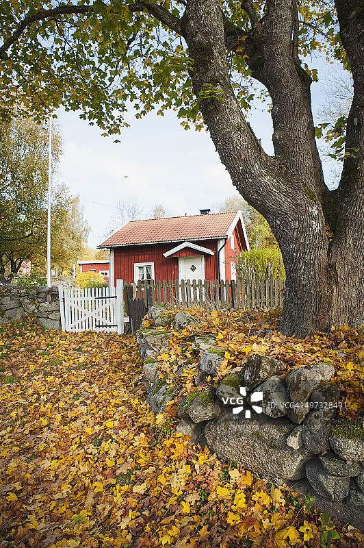 秋季的木制小屋，位于瑞典布莱金厄省罗讷比图片素材