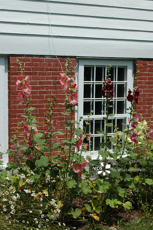 城市园艺图片素材