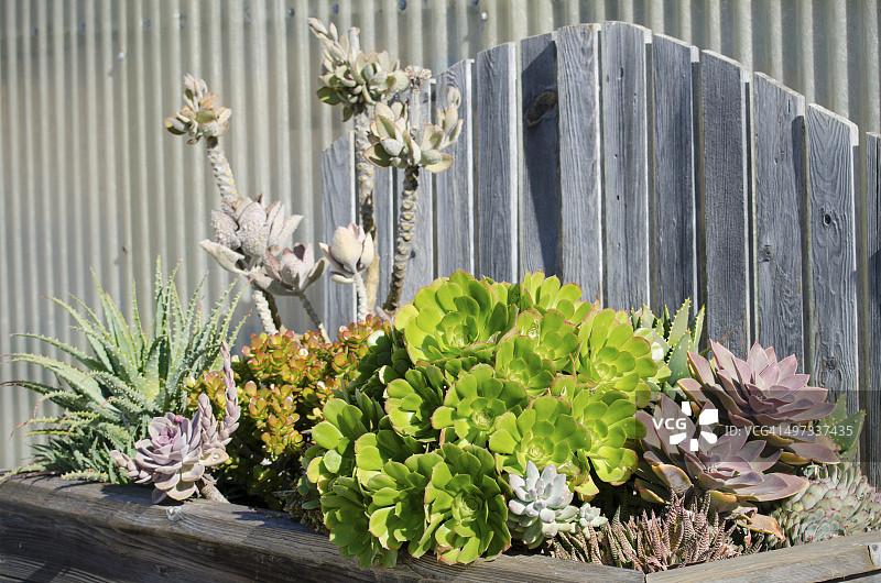 城市园艺图片素材