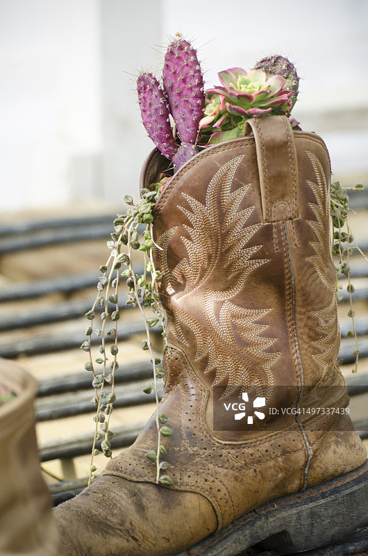 城市园艺图片素材