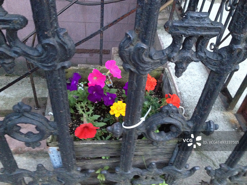 城市园艺图片素材