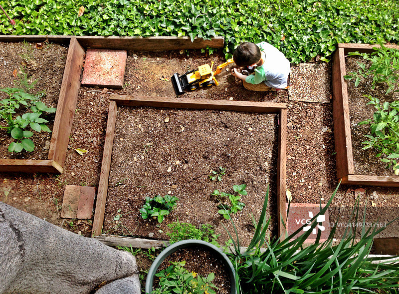 城市园艺图片素材