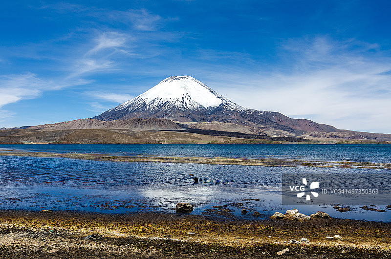 智利 Lauca 国家公园帕里纳科塔火山图片素材
