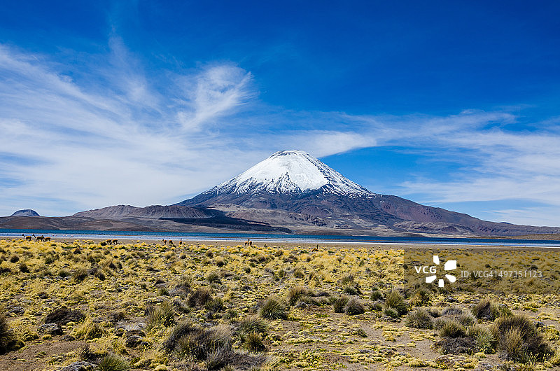 智利 Lauca 国家公园帕里纳科塔火山图片素材