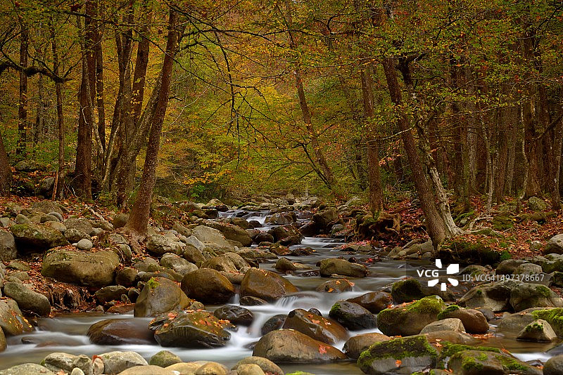 雾山秋色图片素材