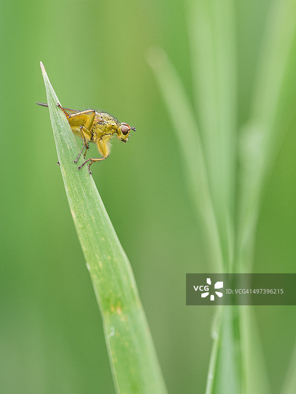 铁血战士2图片素材