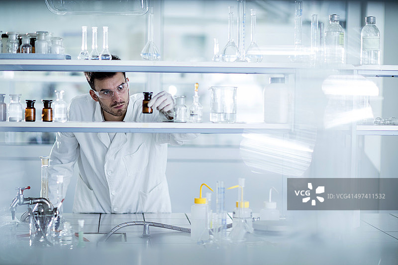 年轻化学家在实验室选择合适的瓶子图片素材