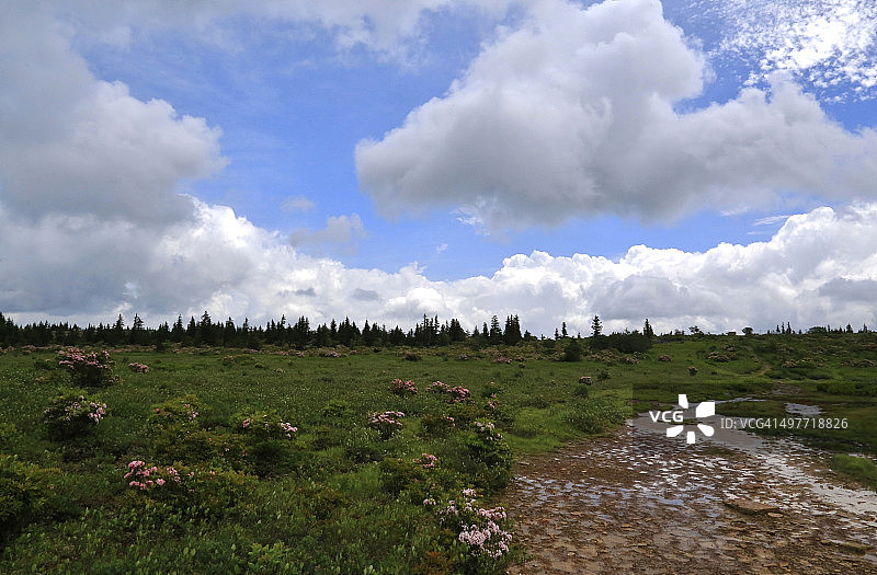 西弗吉尼亚州多莉索兹荒野，莫农加希拉国家森林，熊岩图片素材