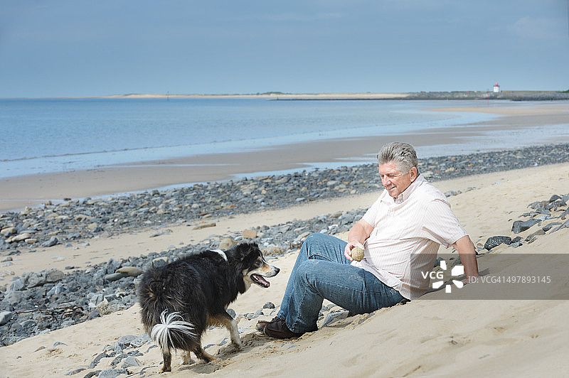 坐在海滩上的人和狗图片素材