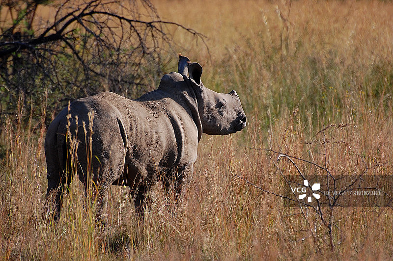 最后的机会图片素材