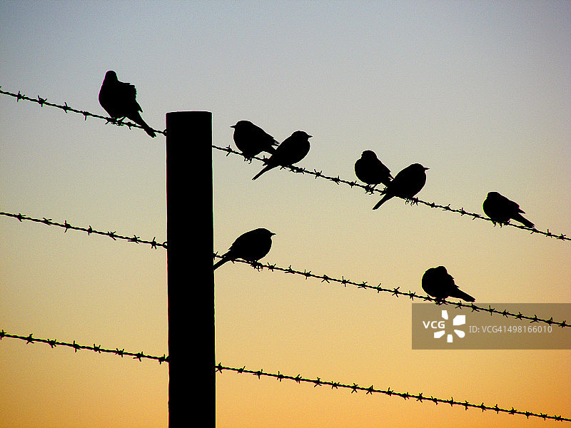 记录黎明图片素材