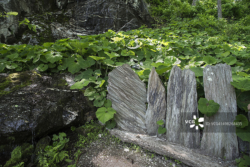 纽约州米尔布鲁克镇茵尼斯弗花园的岩石景观图片素材